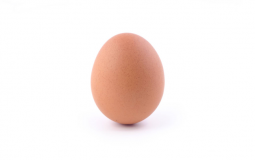 Elemental Grind Game (EGG)